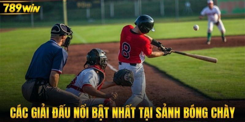 Các giải đấu nổi bật nhất tại sảnh bóng chày