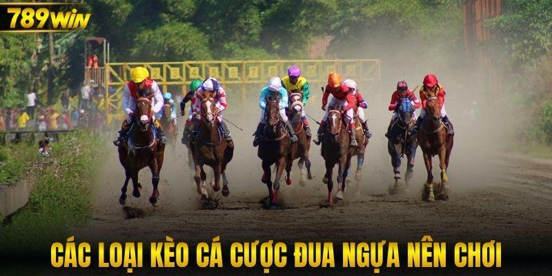Các loại kèo cá cược đua ngựa nên chơi