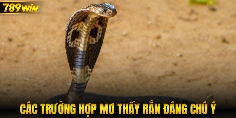 Các trường hợp mơ thấy rắn đáng chú ý