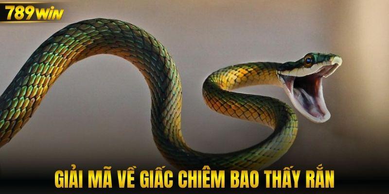 Giải mã về giấc chiêm bao thấy rắn
