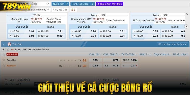 Giới thiệu về cá cược bóng rổ