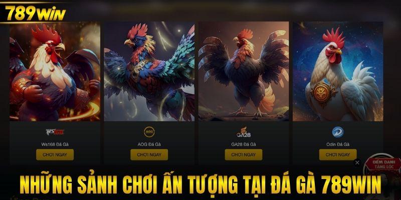 Khám phá những sảnh chơi ấn tượng tại đá gà 789WIN