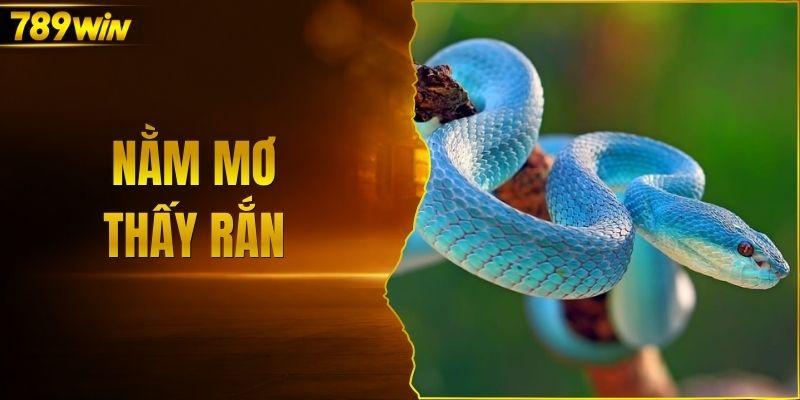 Nằm mơ thấy rắn