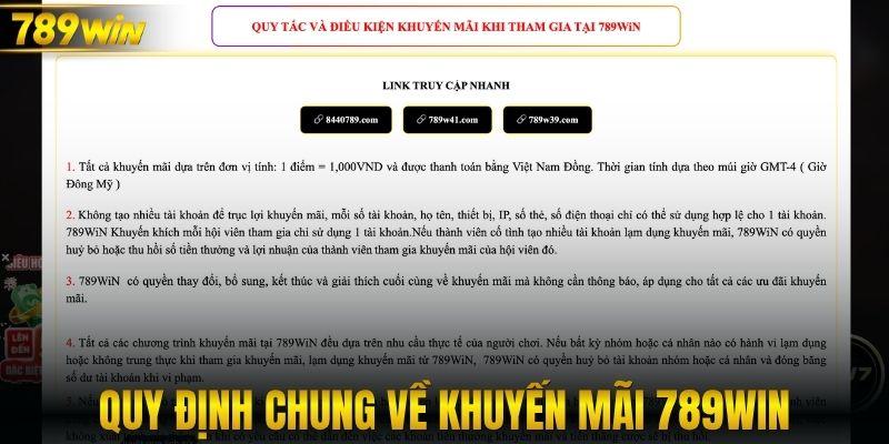 Quy định chung về khuyến mãi 789WIN