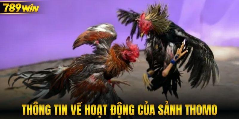 Thông tin về hoạt động của sảnh Thomo